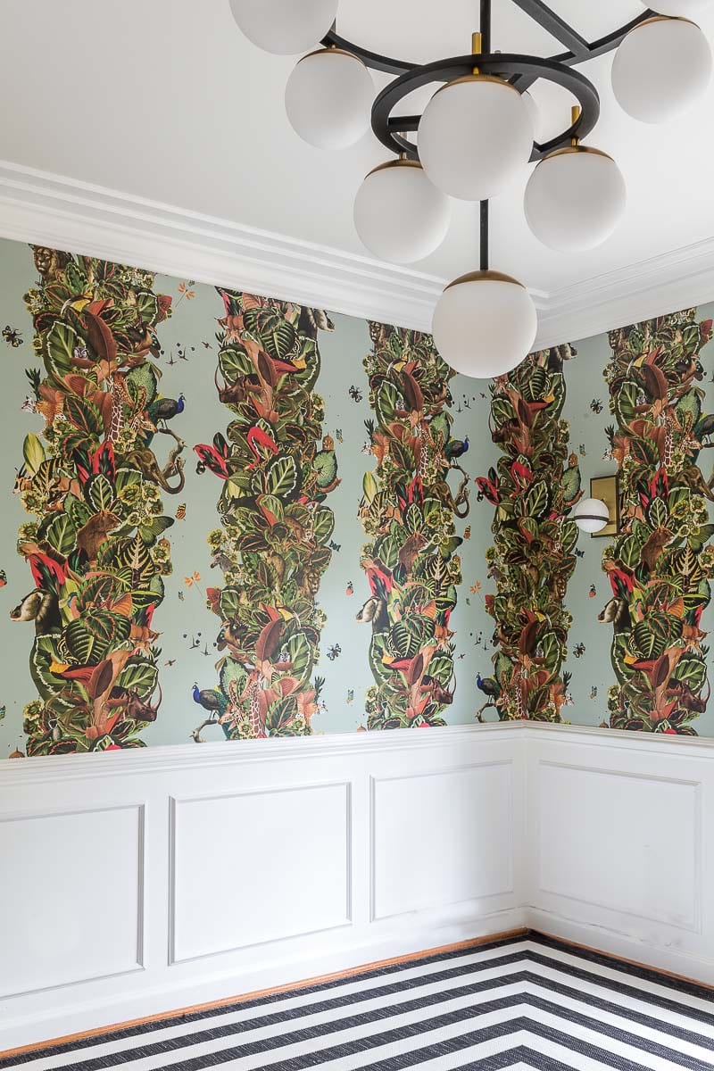 Milton And King, Wallpaper, Viva Tropicana, Kelly Wearstler, - Window Blind , HD Wallpaper & Backgrounds