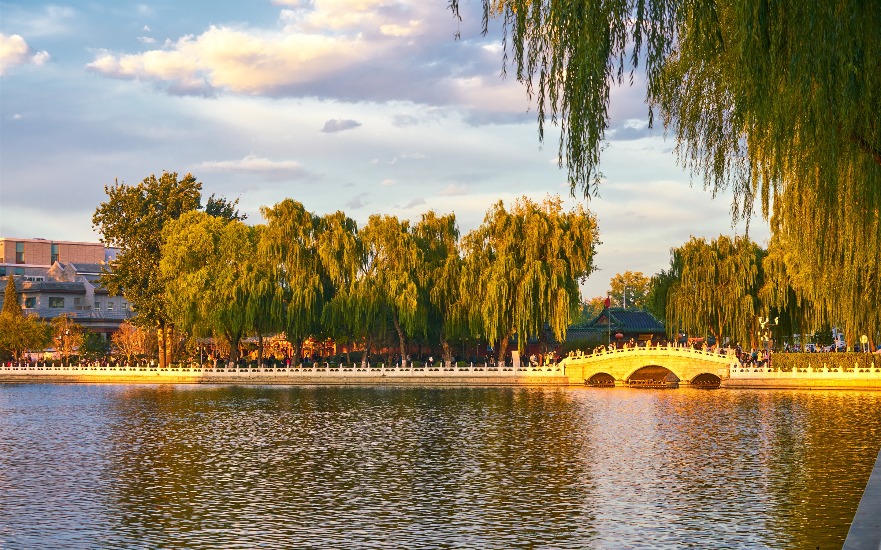 Wallpaper Park, Willow, Trees, River, Bridge, China - Wallpaper , HD Wallpaper & Backgrounds