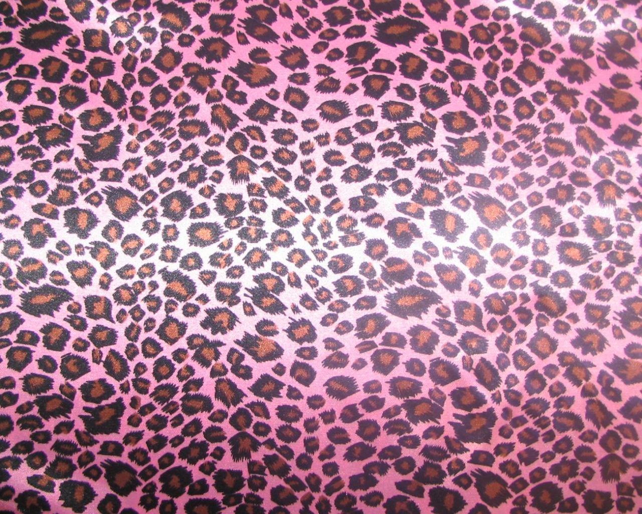 Pink Leopard Backgrounds Wallpaper Pink Leopard Backgrounds , HD Wallpaper & Backgrounds