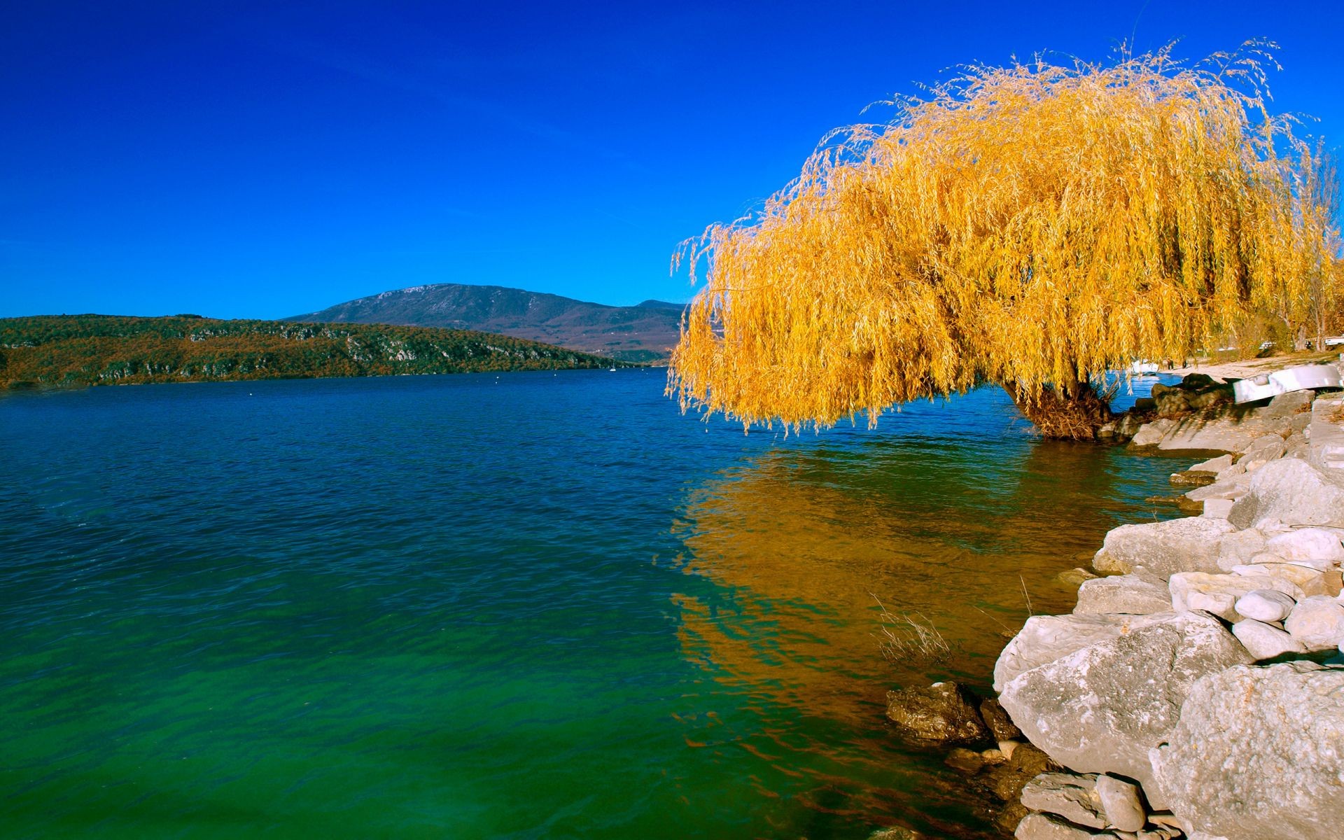 Trees Water Nature Landscape Sky Travel Lake Scenic - Weeping Willow , HD Wallpaper & Backgrounds