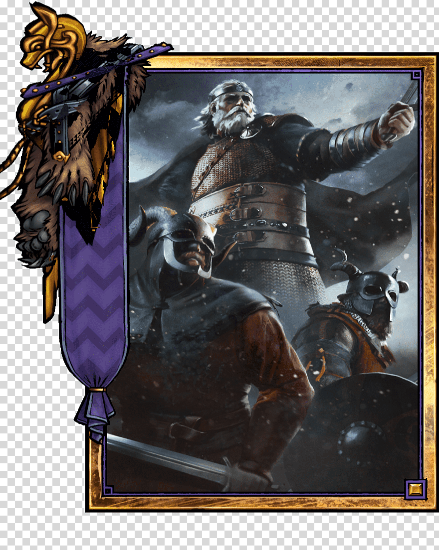 The Witcher Card Game The Witcher - Bran Tuirseach , HD Wallpaper & Backgrounds