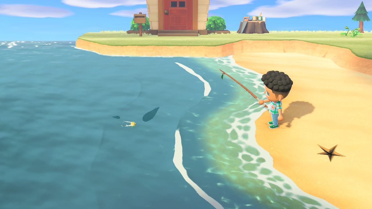 Animal Crossing New Horizons Shark Shadow , HD Wallpaper & Backgrounds