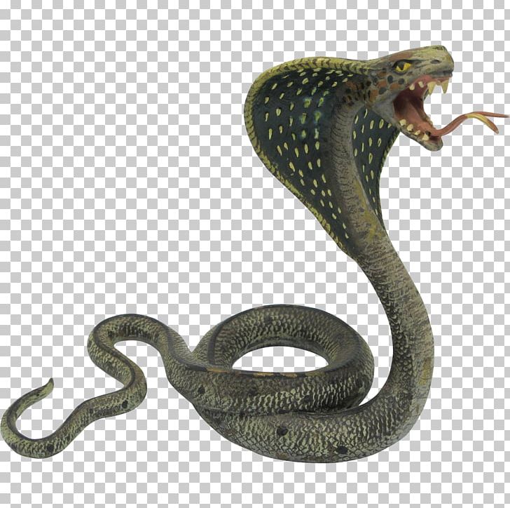 Snake Transparent , HD Wallpaper & Backgrounds