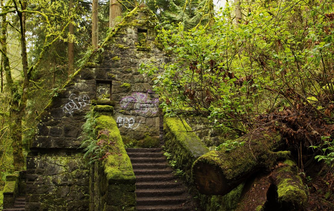 Usa Forests Stairs Moss Forest Park Portland Oregon - Portland Oregon Nature , HD Wallpaper & Backgrounds