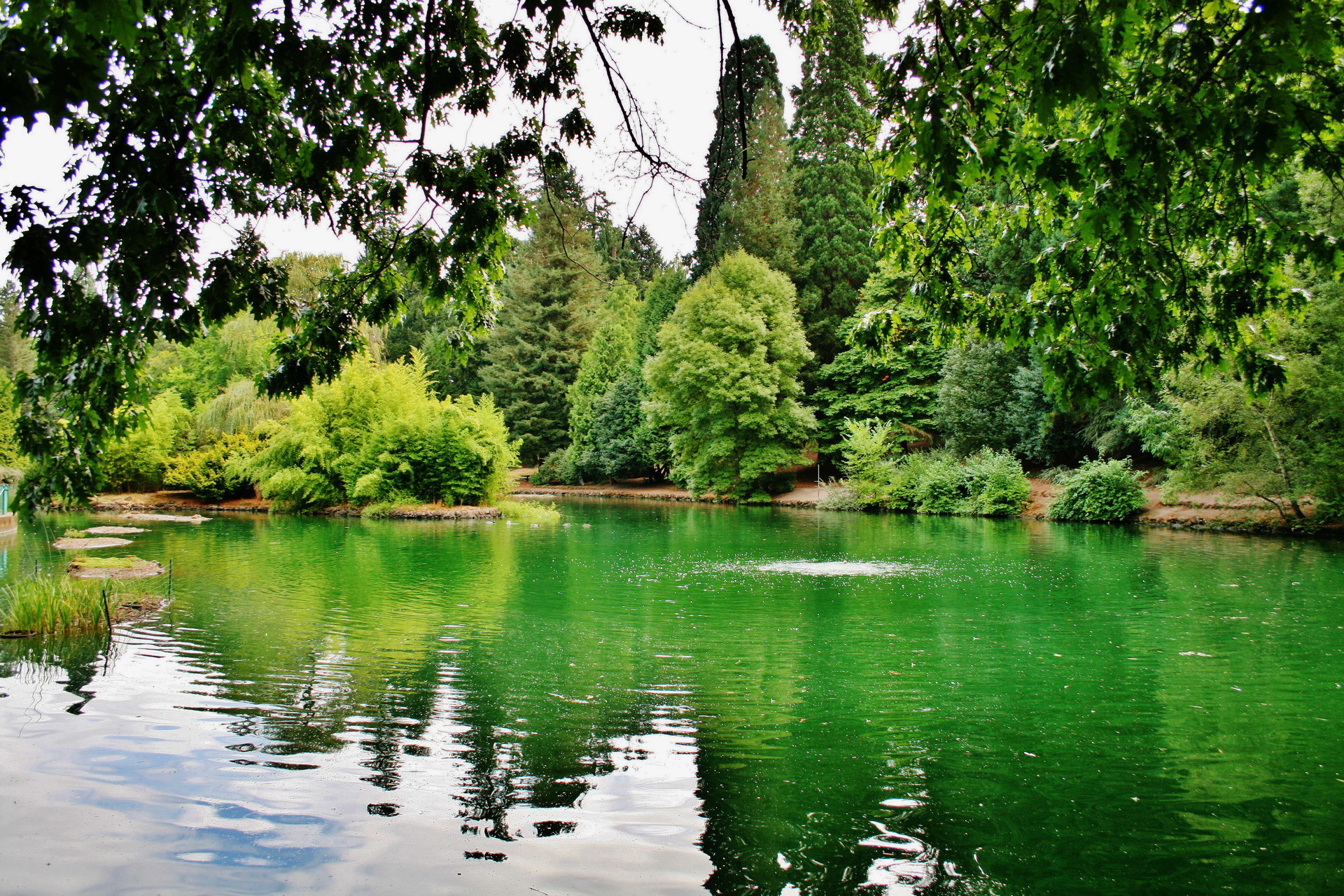 Laurelhurst Park , HD Wallpaper & Backgrounds