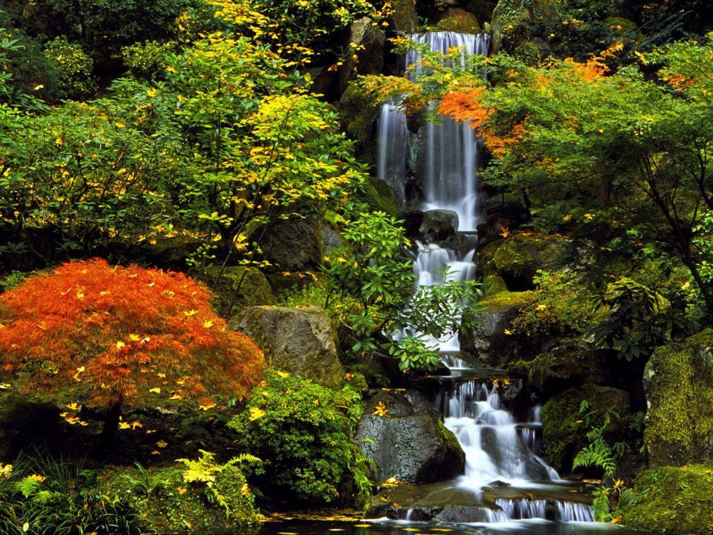 1600 X 1200 Portland Oregon Japanese Garden Wallpaper - Feng Shui Images For Prosperity , HD Wallpaper & Backgrounds