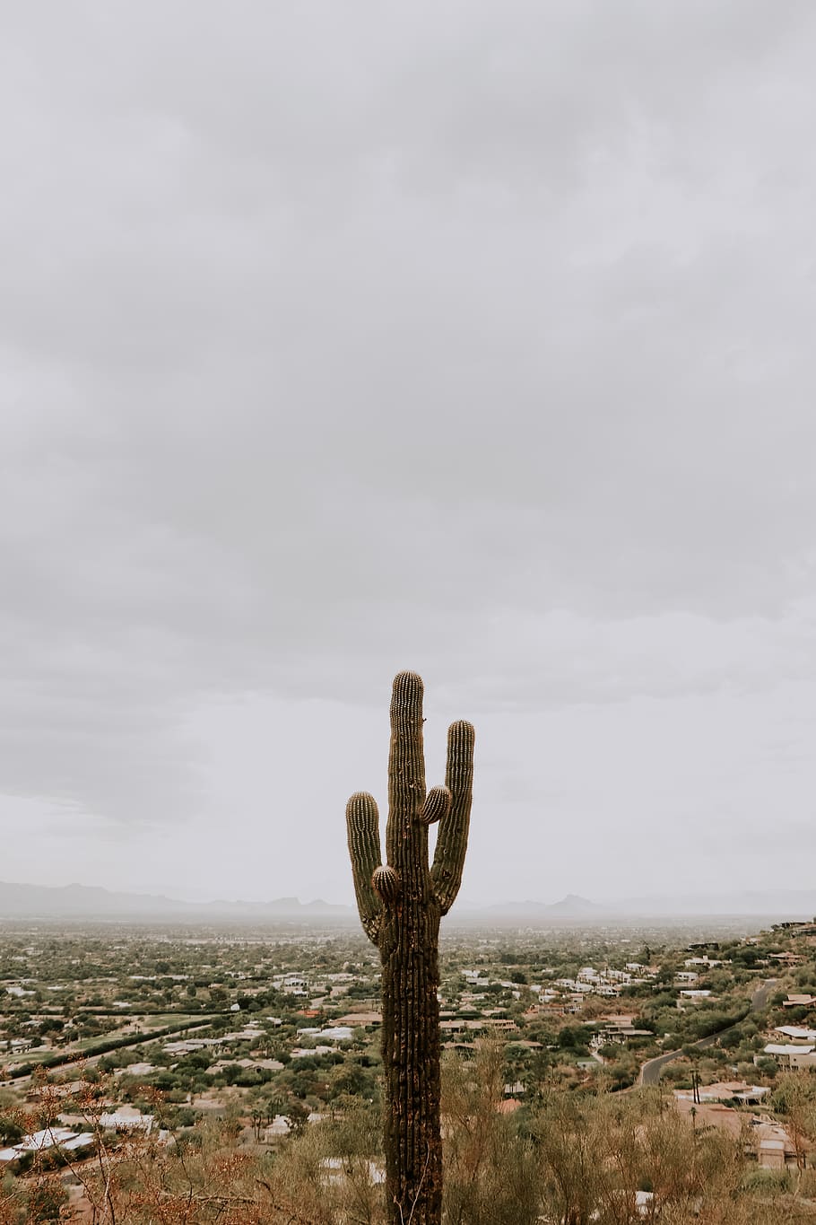 United States, Phoenix, Hike, Arizona, Outdoors, Cactus, - Phoenix Usa Wallpaper Iphone , HD Wallpaper & Backgrounds