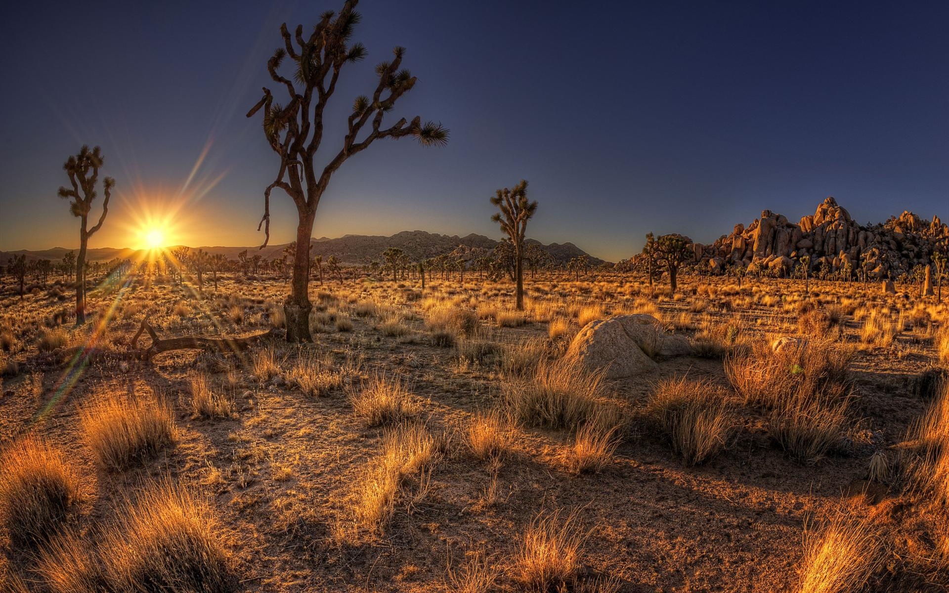 Arizona Sunset Wallpaper - Cool Pics Of Arizona , HD Wallpaper & Backgrounds