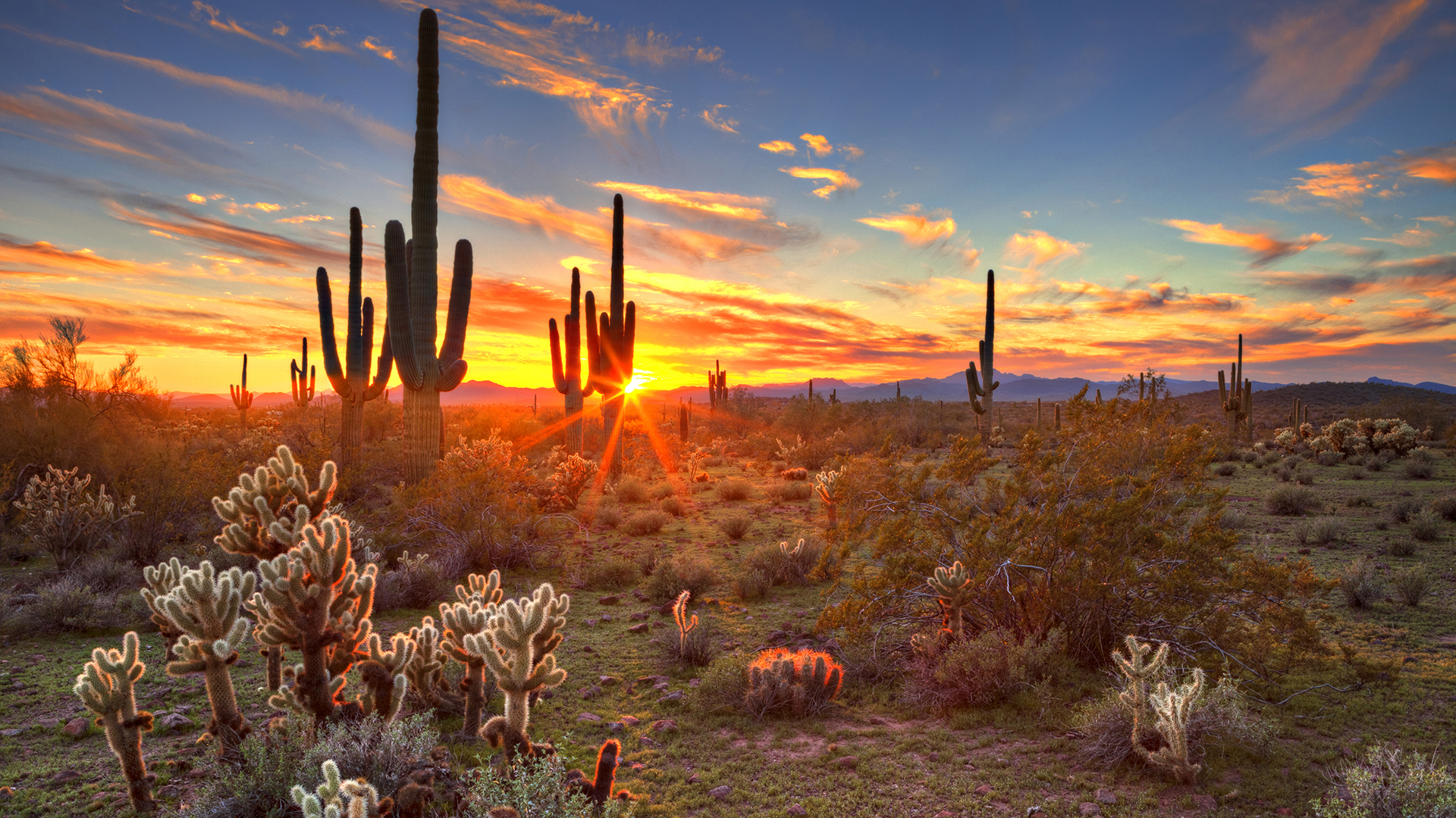 Arizona Pictures Of The Desert , HD Wallpaper & Backgrounds
