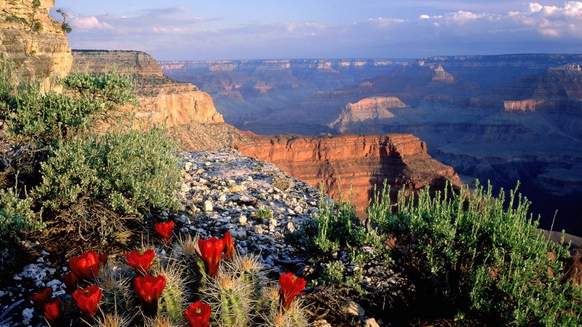 Grand Canyon National Park , HD Wallpaper & Backgrounds