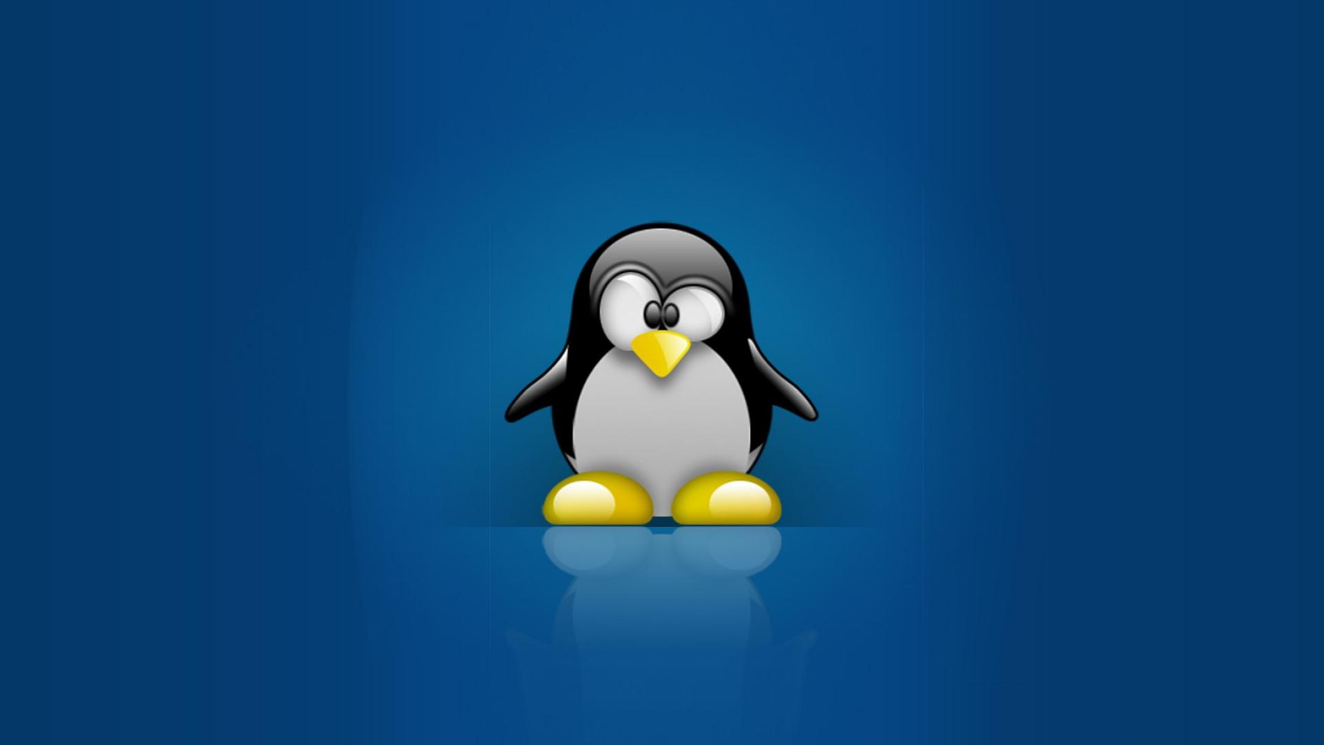 Linux Tux Penguins Computer Hd Wallpaper - Linux Penguin , HD Wallpaper & Backgrounds