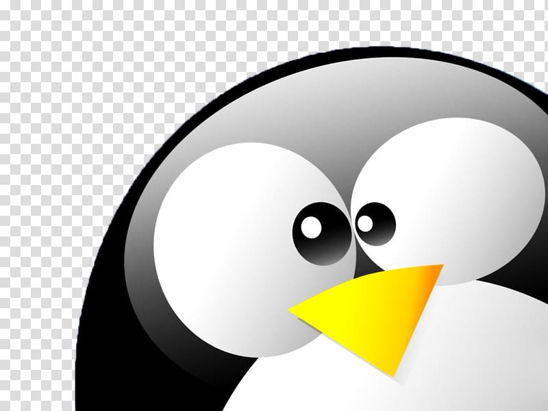 Tux Penguin Desktop Linux Foundation, Penguin Transparent - Circle Youtube Icon Transparent Background , HD Wallpaper & Backgrounds