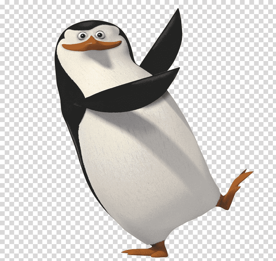 Penguin Charming Villain Melman, Goalkeeper, Animals, - Madagascar Penguin Png , HD Wallpaper & Backgrounds