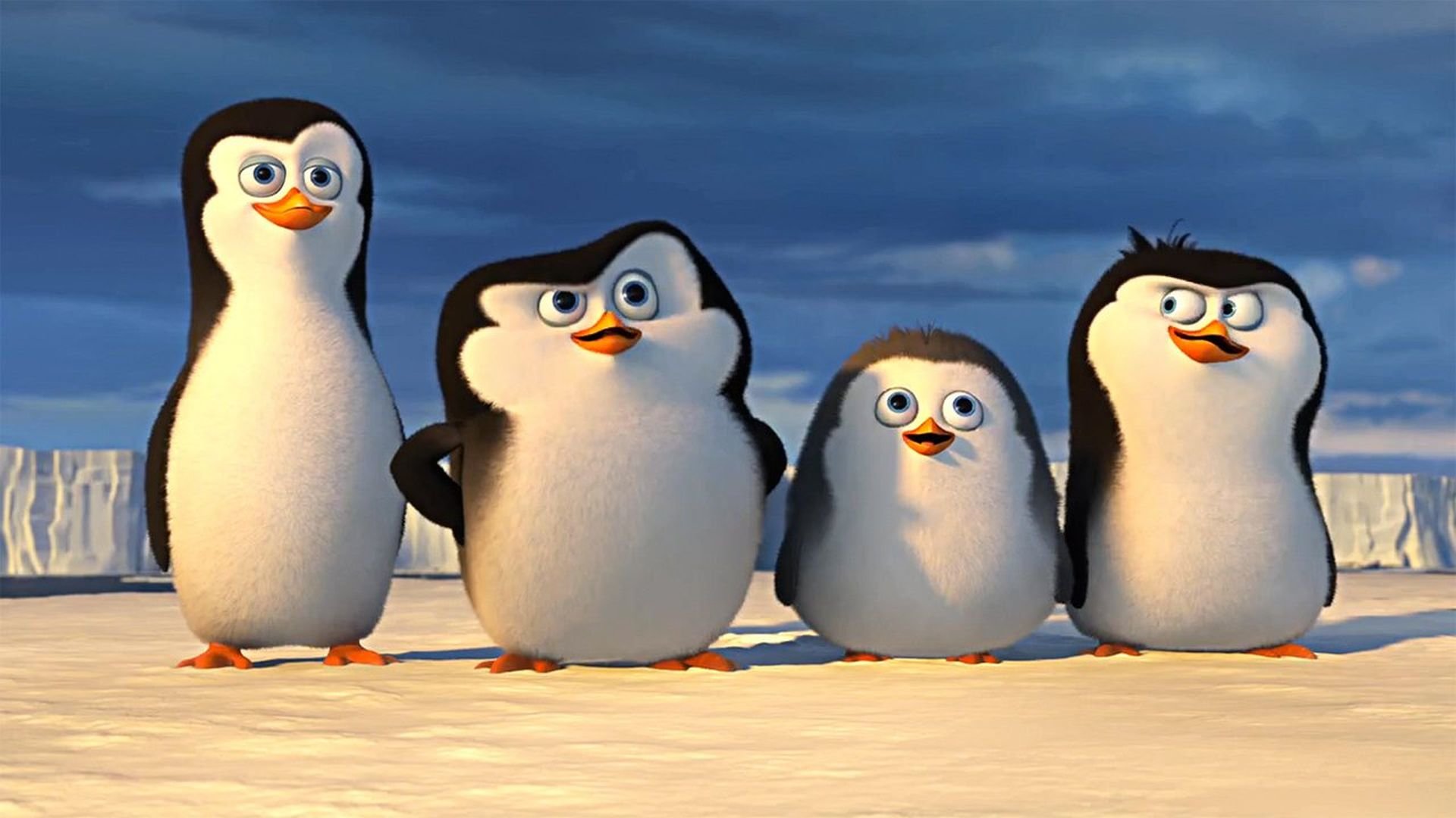 Free Penguins Of Madagascar High Quality Wallpaper - Penguin Of Madagascar Kid , HD Wallpaper & Backgrounds