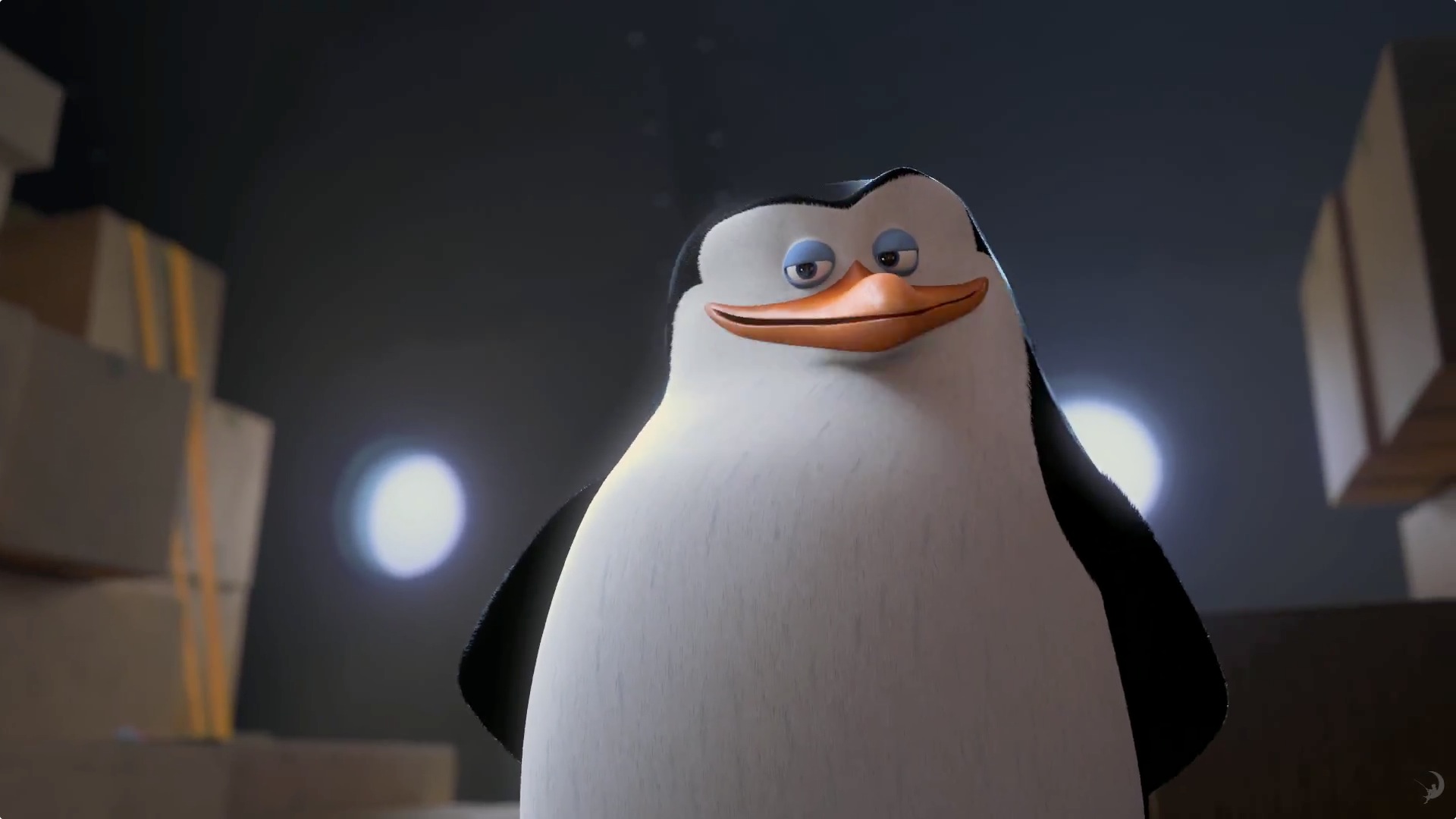 Penguins Of Madagascar Skipper , HD Wallpaper & Backgrounds