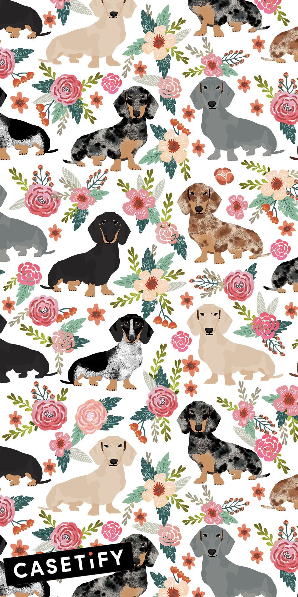 Dachshund Floral , HD Wallpaper & Backgrounds