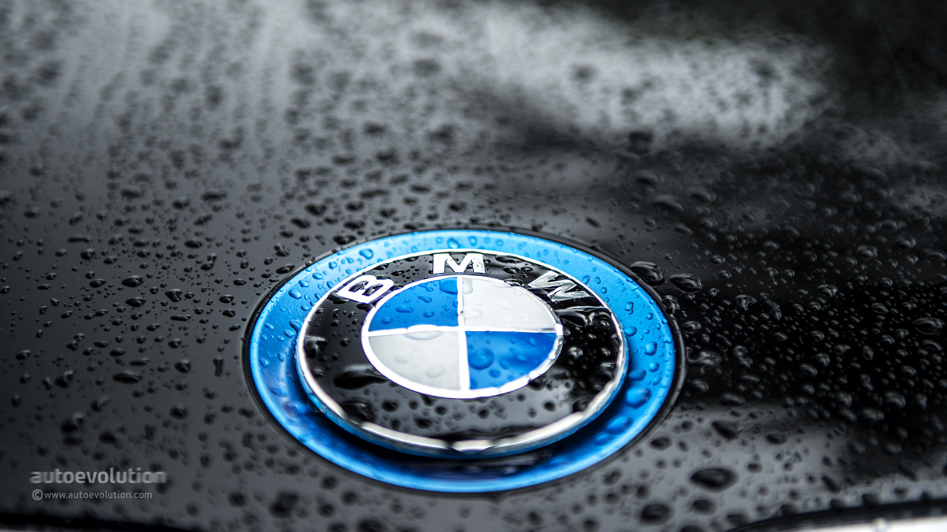 Bmw Logo Wallpaper - Bmw Logo , HD Wallpaper & Backgrounds