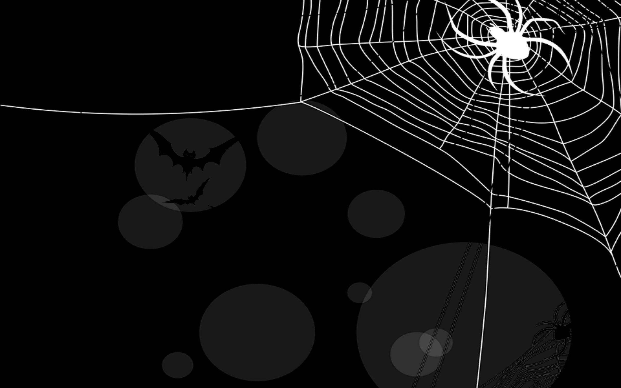 2560x1600, Wallpapers For > Spider Web Halloween Wallpaper - Black Red Spider Web Background , HD Wallpaper & Backgrounds