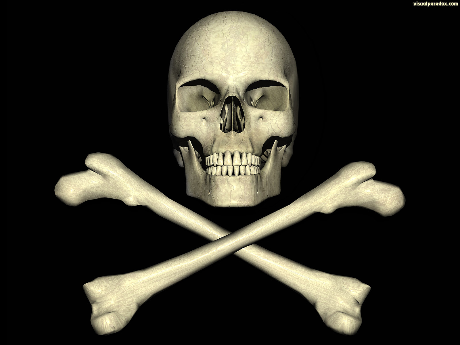Jolly, Roger, Skull, Pirate, Bones, Poison, Deadly, - Day Of The Dead Skull And Crossbones , HD Wallpaper & Backgrounds