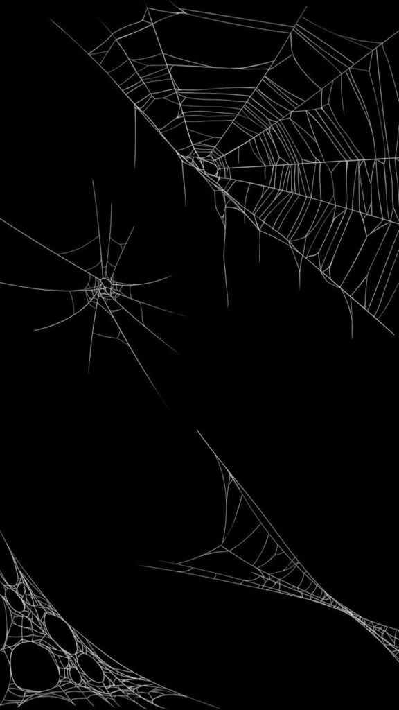 Black, Black And White, Spider Web, Line, Monochrome - Spiders Wallpaper For Phone , HD Wallpaper & Backgrounds
