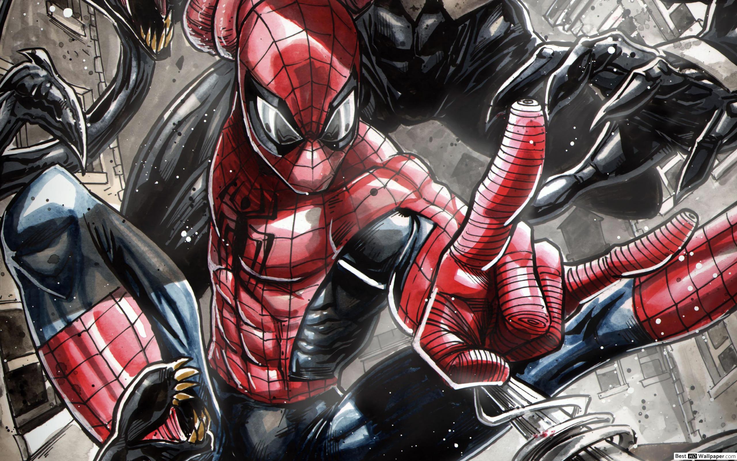 Spiderman Comic , HD Wallpaper & Backgrounds