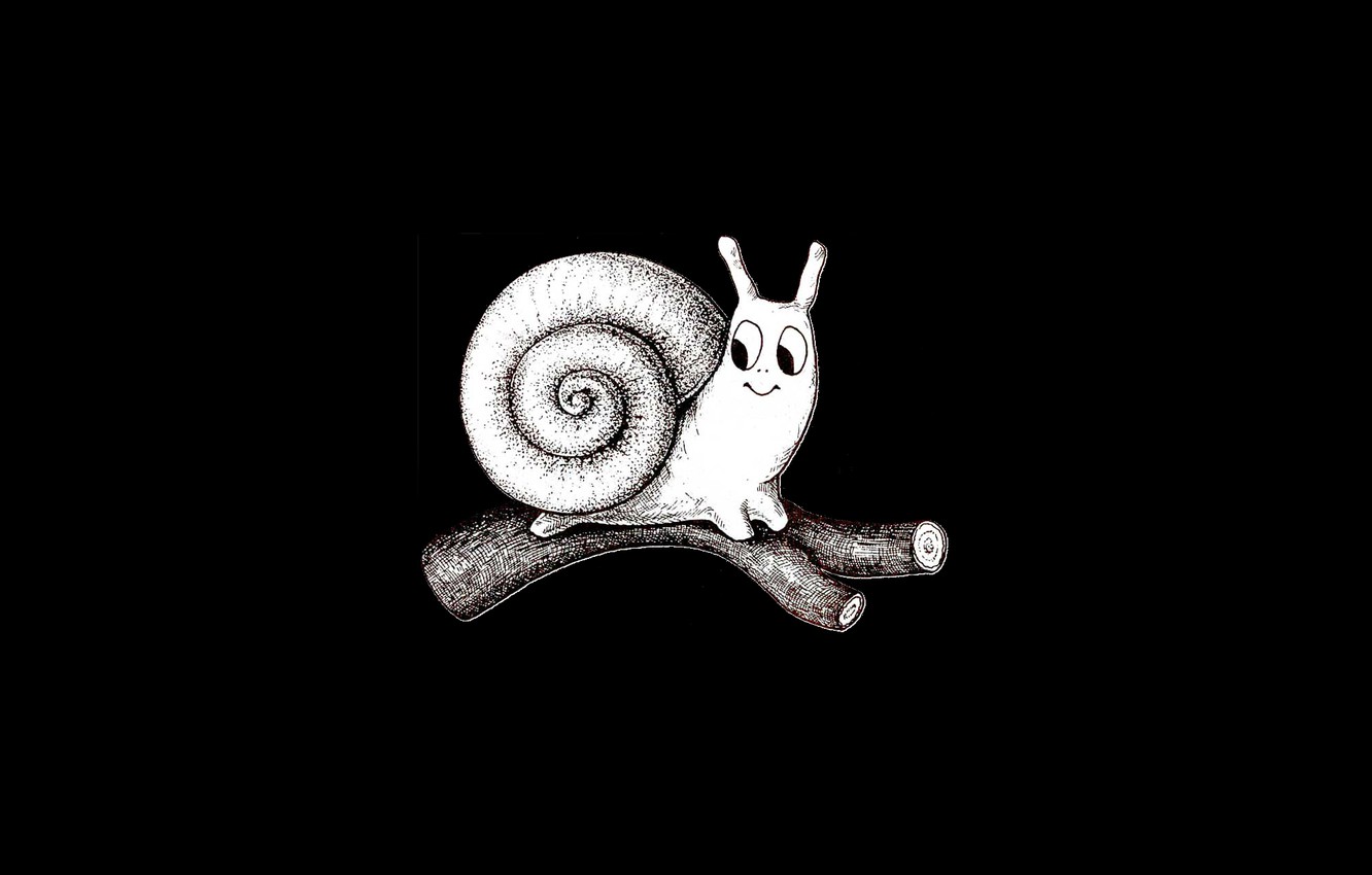 Photo Wallpaper Graphics, Snail, Black And White, Log, - Snail , HD Wallpaper & Backgrounds