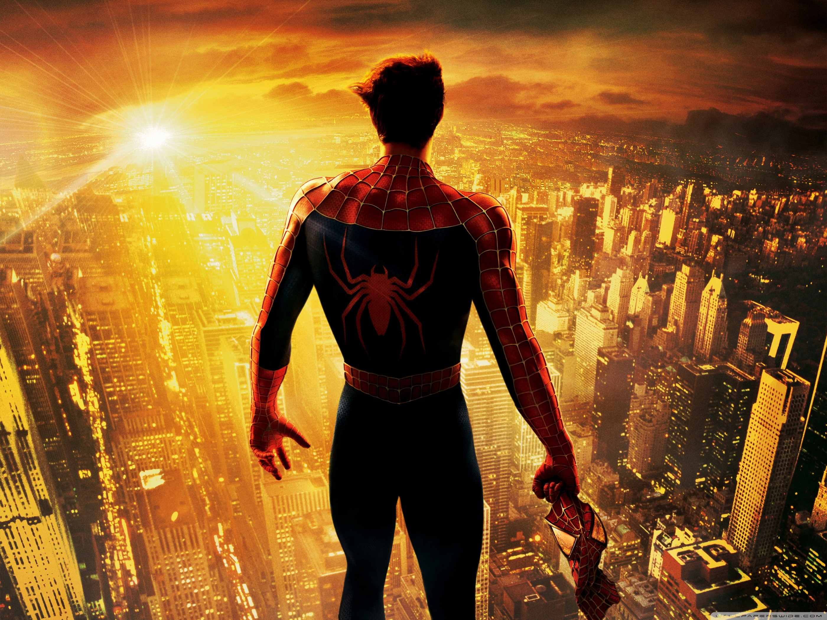 Spiderman Hd Wide Wallpaper For 4k Uhd Widescreen Desktop - Spider Man 2 Back , HD Wallpaper & Backgrounds