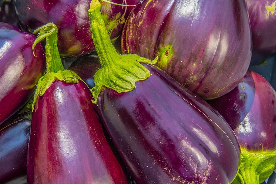 Eggplant, Aubergine, Solanum Melongena, Raw, Fresh, - Melanzane Siciliane , HD Wallpaper & Backgrounds