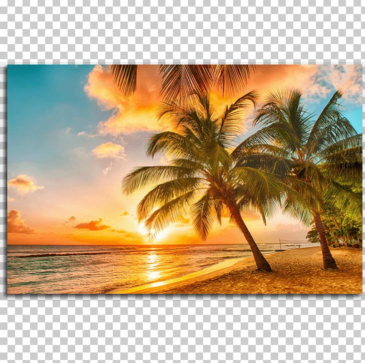 Beach Sunset , HD Wallpaper & Backgrounds