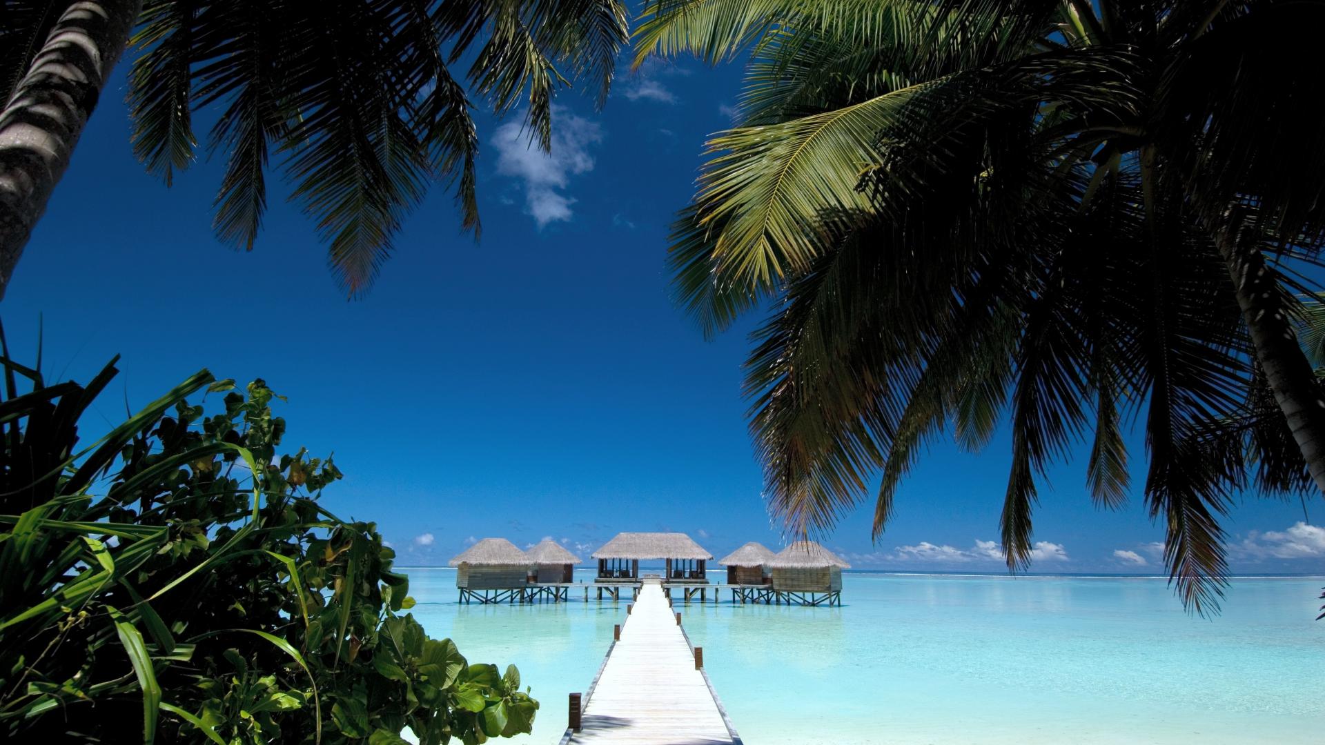 Island Maldives , HD Wallpaper & Backgrounds