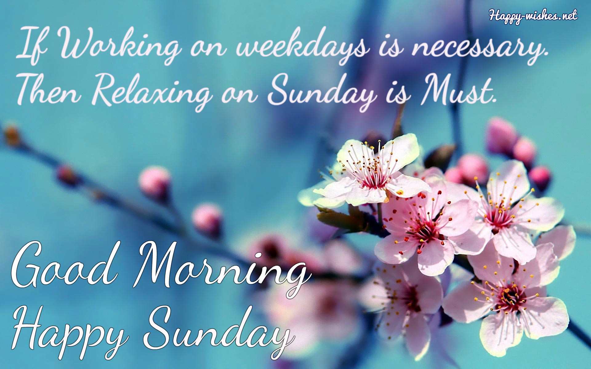 Good Morning Wishes On Sunday Quotes - Sunday Morning Wishes Quotes , HD Wallpaper & Backgrounds