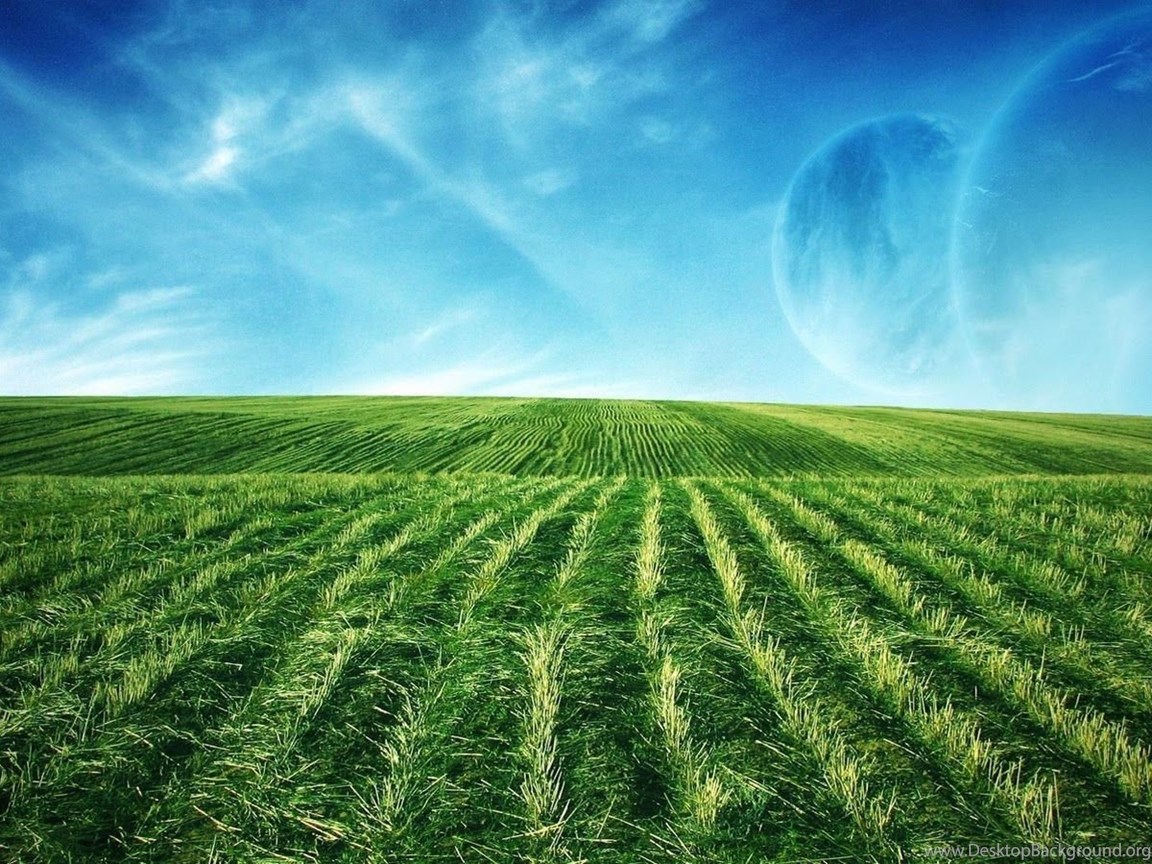 Amazing Nature Full Hd Wallpapers 1080p Resolution - Cut Wheat Field , HD Wallpaper & Backgrounds
