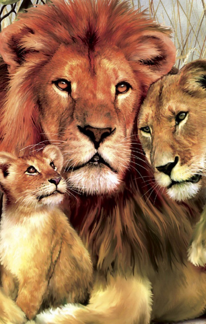 Lion Family Hugs And Love Wild Animals Hd Mobile Wallpaper - Lion Family Wallpaper Hd , HD Wallpaper & Backgrounds