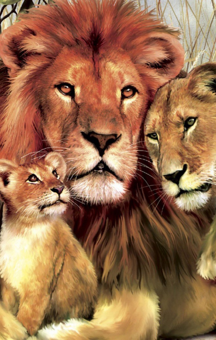 Lion Family Hugs And Love Wild Animals Hd Mobile Wallpaper - Lion Family Wallpaper Hd , HD Wallpaper & Backgrounds