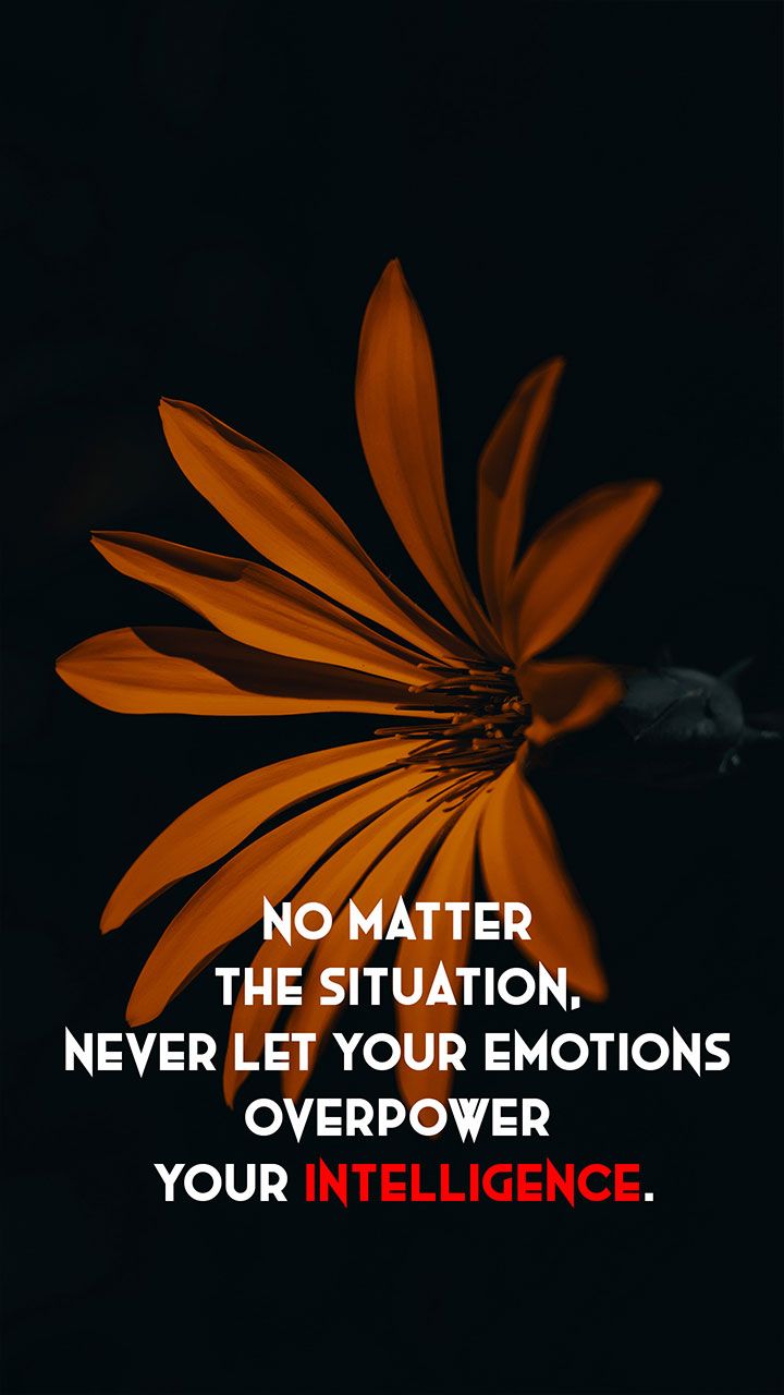 Best Motivational Quotes Wallpaper Hd Download Brain - Hd Flowers Wallpapers Orange , HD Wallpaper & Backgrounds