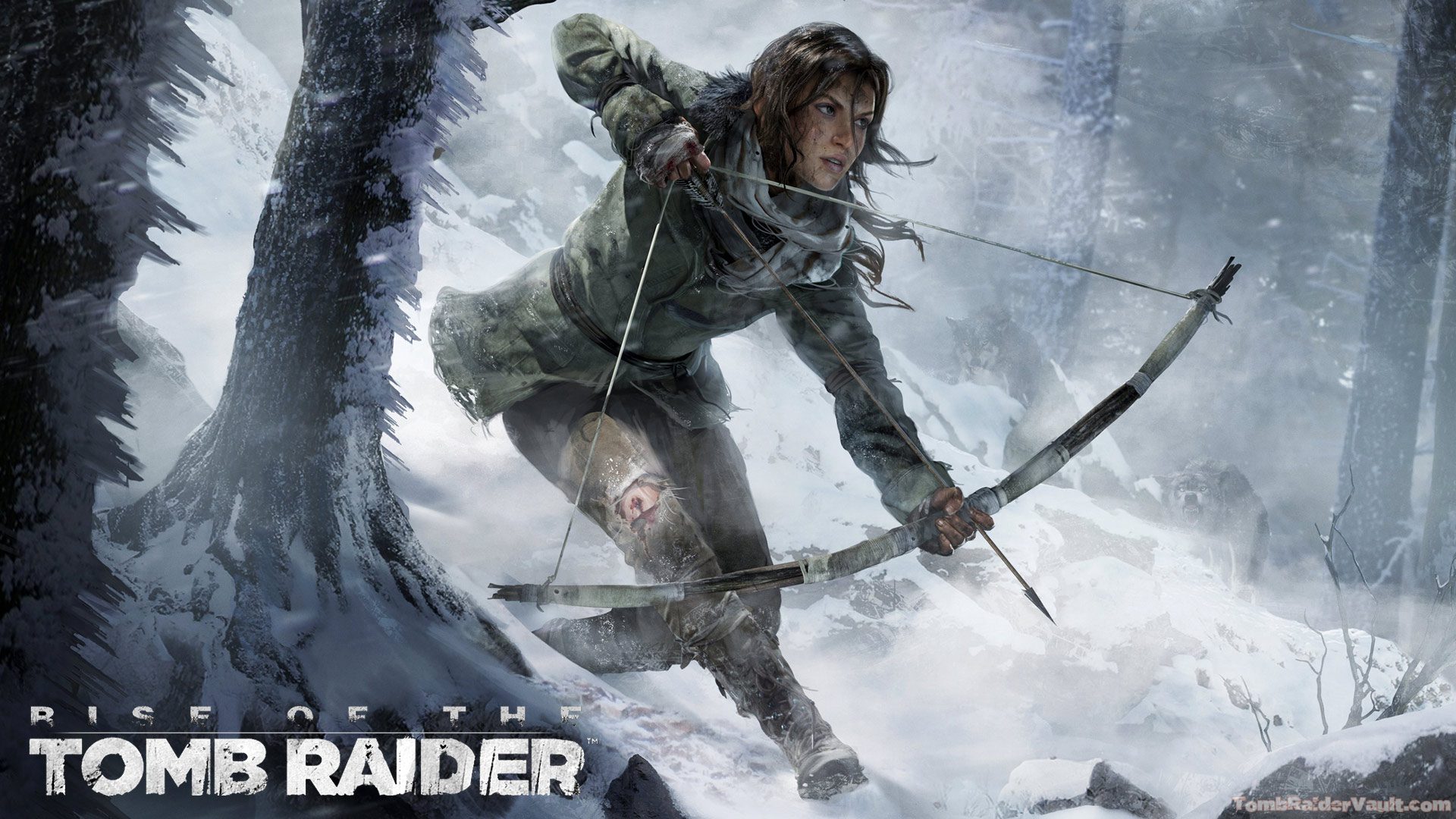 Rise Of The Tomb Raider , HD Wallpaper & Backgrounds