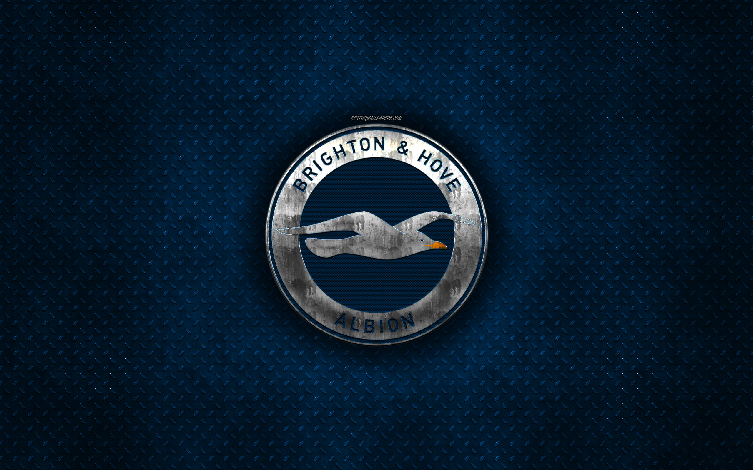 Brighton Hove Albion Fc, English Football Club, Blue - Emblem , HD Wallpaper & Backgrounds