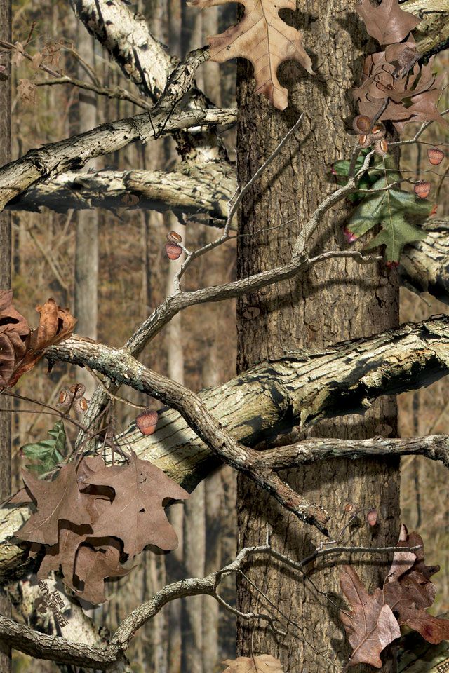 Mossy Oak Camouflage Background , HD Wallpaper & Backgrounds