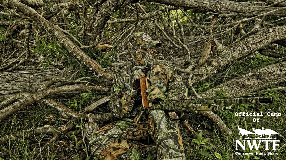 Nwtf Camo , HD Wallpaper & Backgrounds