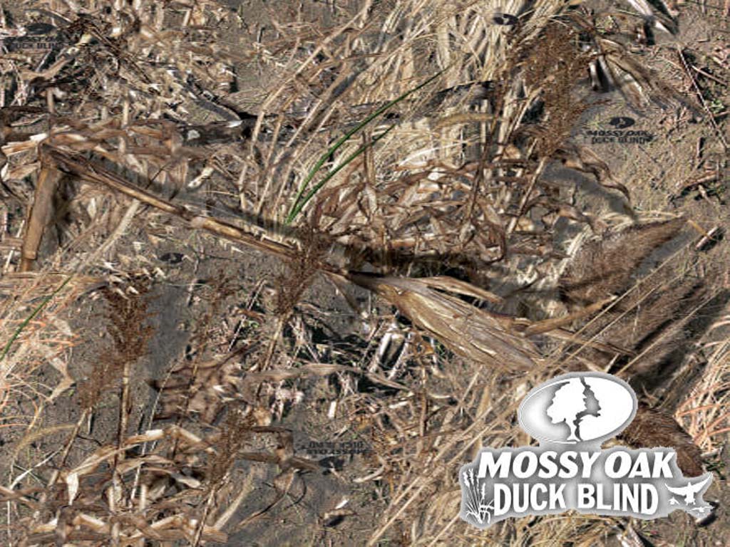 Mossy Oak Duck Blind , HD Wallpaper & Backgrounds