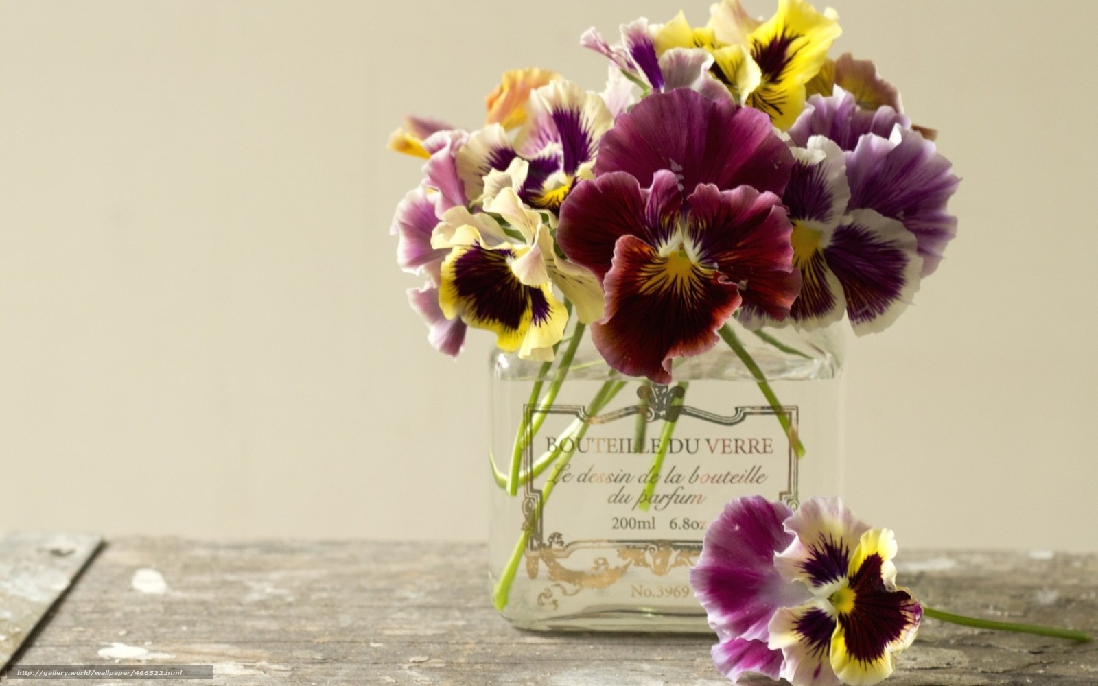 Download Wallpaper Bouquet, Pansy, Flowers, Vase Free - Beautiful Flowers In Vase , HD Wallpaper & Backgrounds