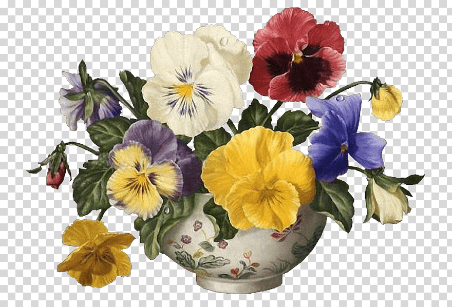Pansy Cut Flowers Violet, Flower, Vase, Annual Plant, - Holy Family Catholic Church , HD Wallpaper & Backgrounds