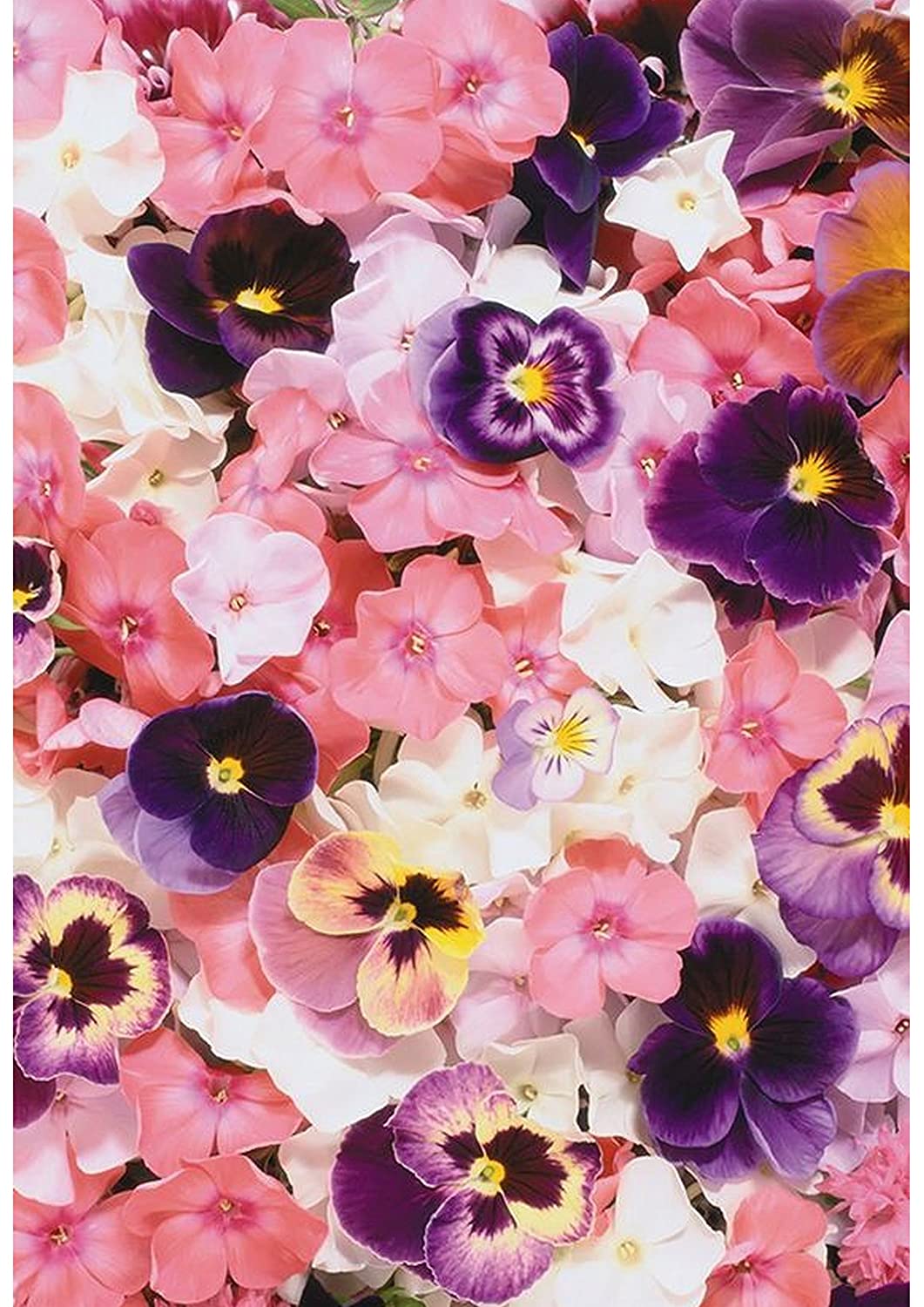 Beautiful Flower , HD Wallpaper & Backgrounds