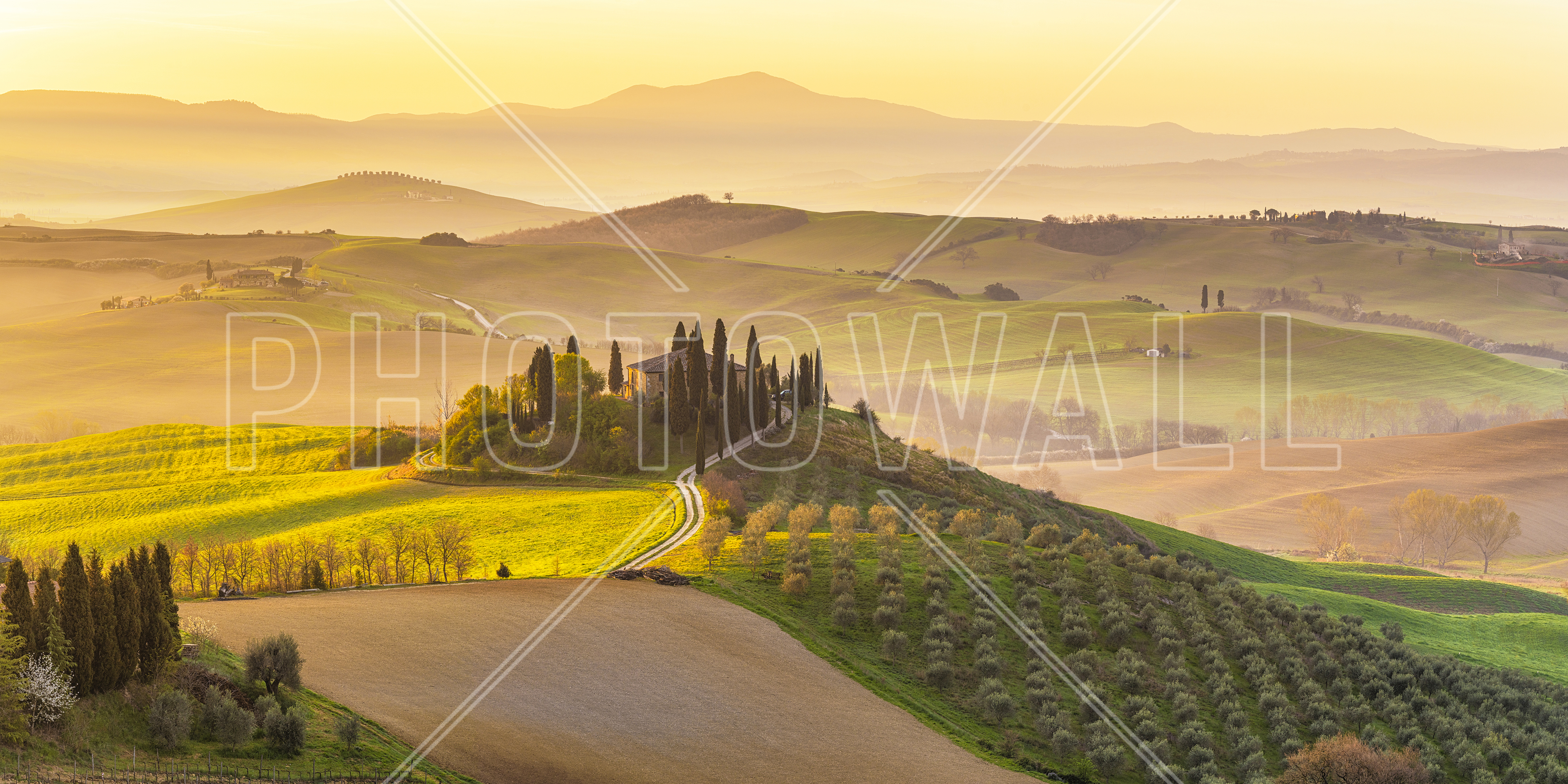 Tuscany Vineyard - Wallpaper - Tuscany Morning Sun Wall Mural , HD Wallpaper & Backgrounds