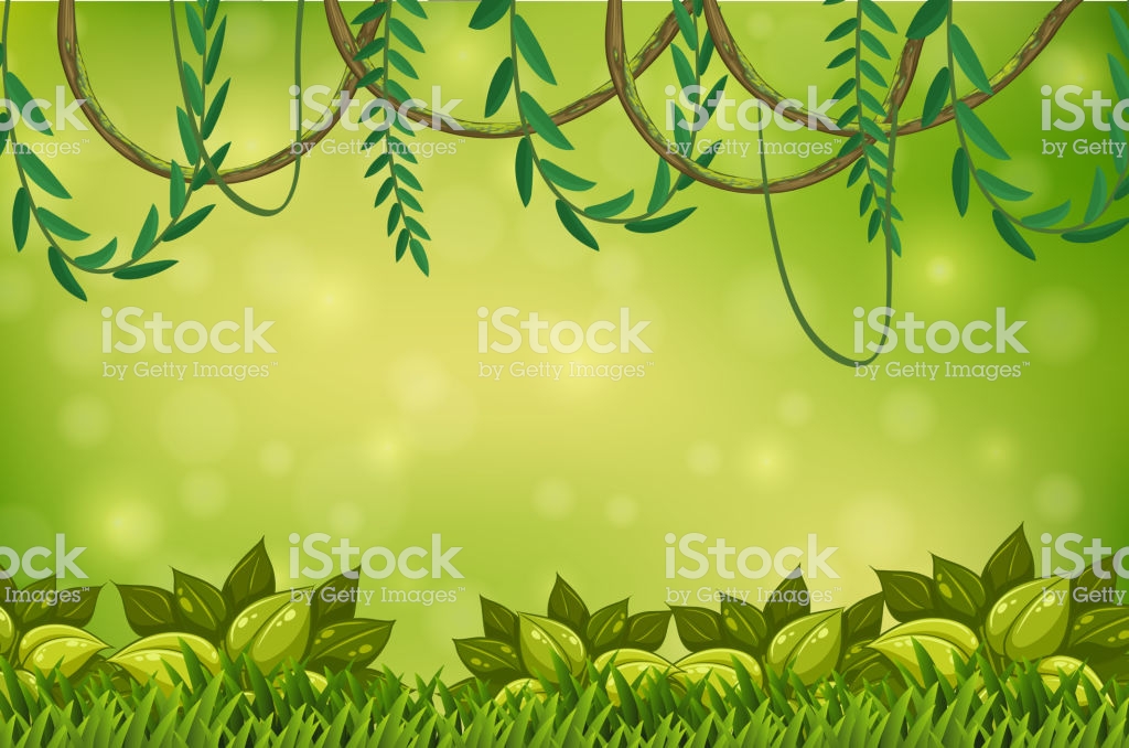 A Green Jungle And Vine Wallpaper - La Jungle Fond D Écran , HD Wallpaper & Backgrounds