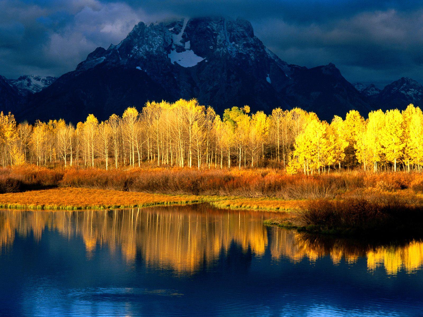 Aspen Trees Wallpaper In Desktop Backgrounds Category - Blue And Yellow Scenery , HD Wallpaper & Backgrounds