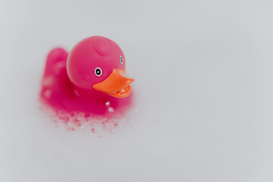 Pink Rubber Ducky In Foam, Pink Duck, Soap Bubbles, , HD Wallpaper & Backgrounds