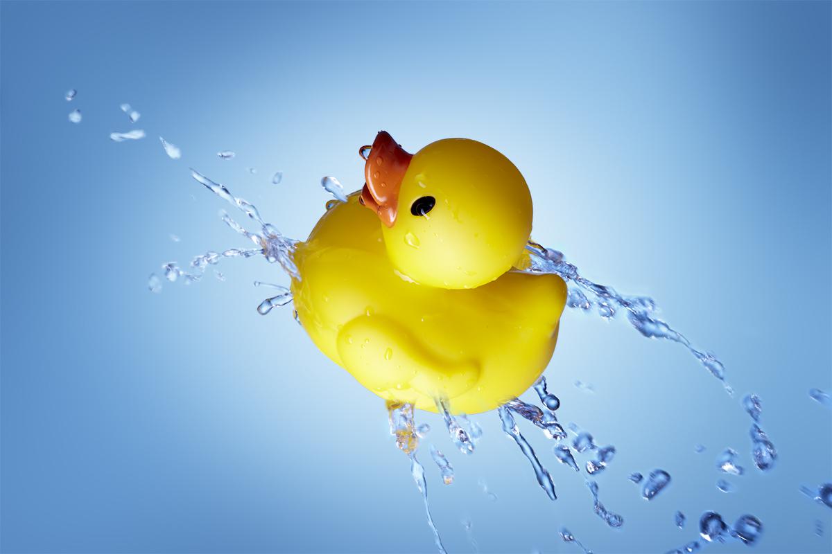 Rubber Duck Wallpaper 126074 Hd Wallpapers [desktopinhqcom] - Rubber Duck , HD Wallpaper & Backgrounds