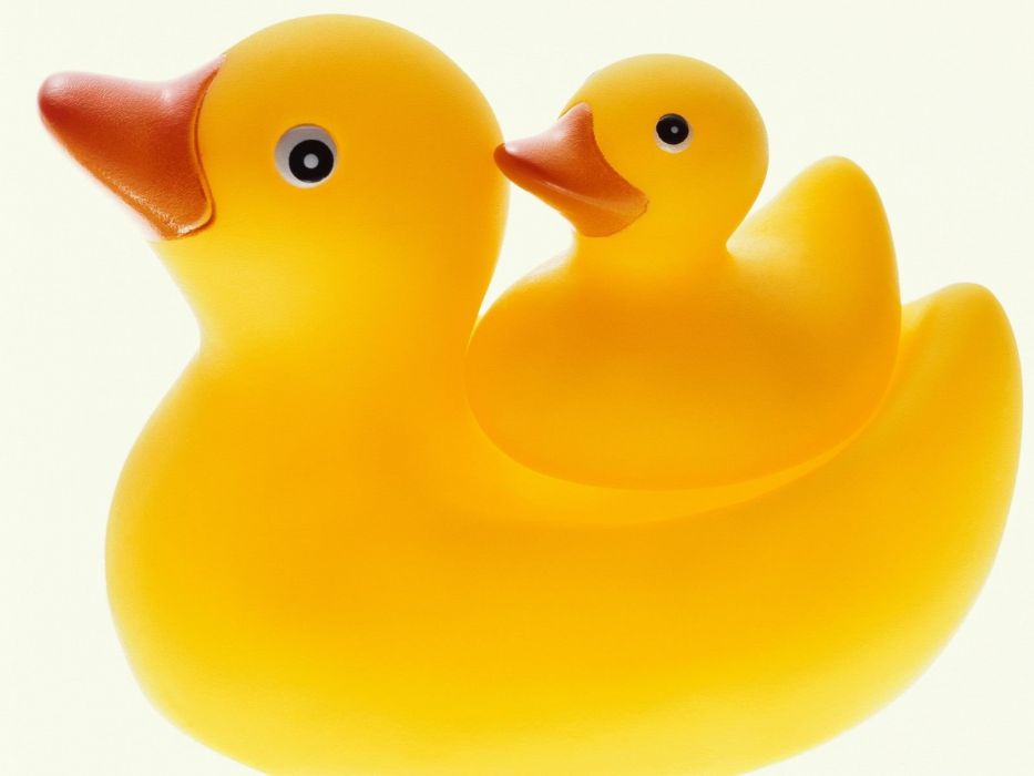 Ducks Rubber Ducks Wallpaper - Oyuncak Ördekler , HD Wallpaper & Backgrounds