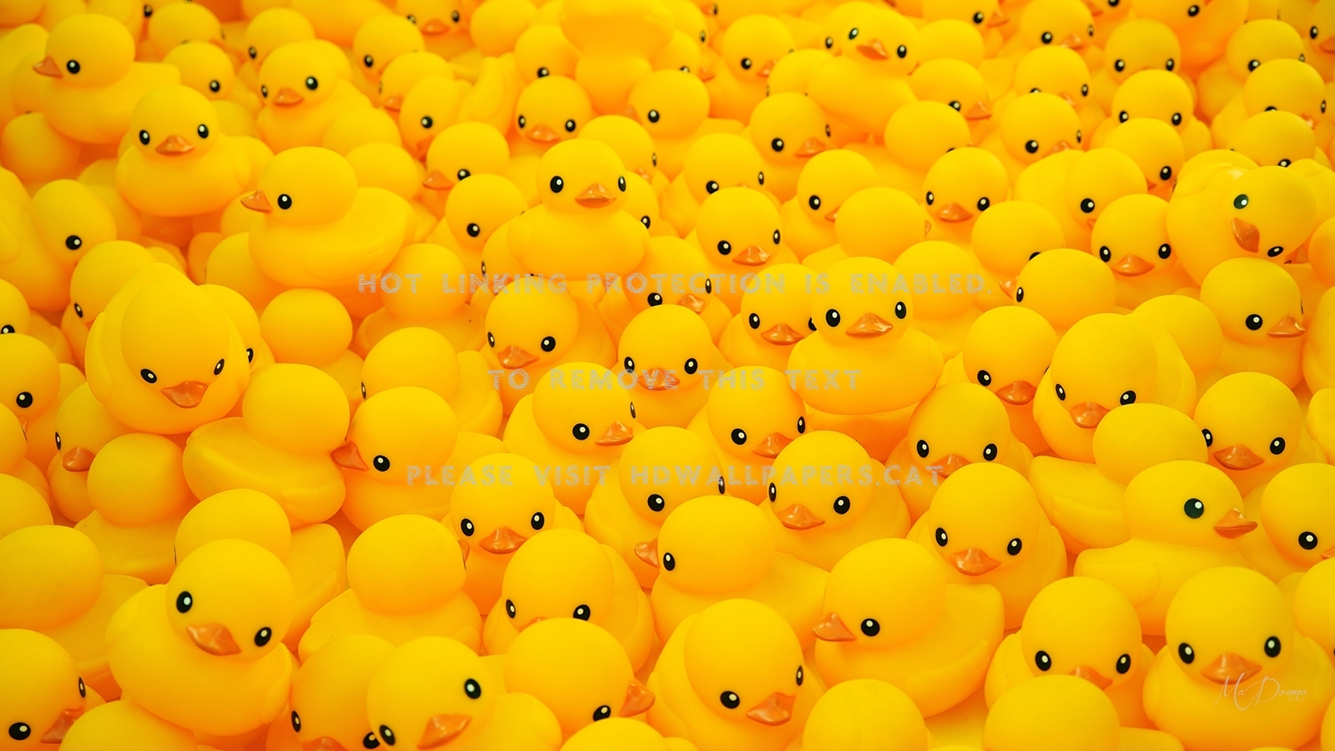 Lotsa Rubber Duckies Toys Collage Gold - Rubber Ducks Background , HD Wallpaper & Backgrounds